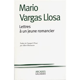 Lettres à un jeune romancier