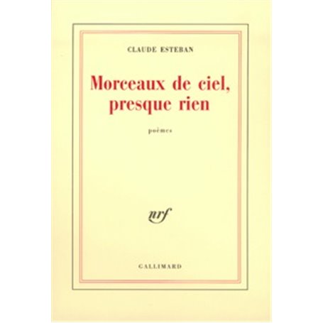 Morceaux de ciel, presque rien