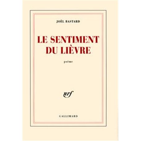 Le sentiment du lièvre