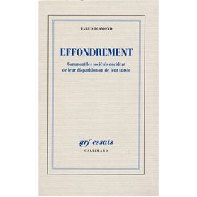 Effondrement