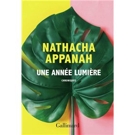 Une année lumière