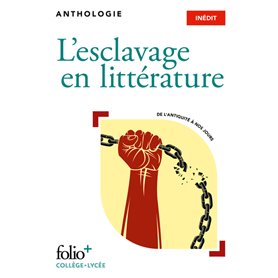 L'esclavage en littérature