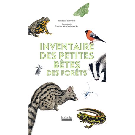 Inventaire des petites bêtes des forêts