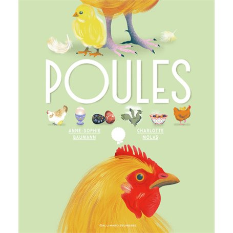 Poules