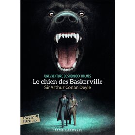 Le chien des Baskerville