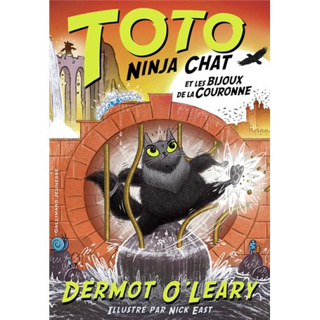 Toto Ninja chat et les bijoux de la couronne