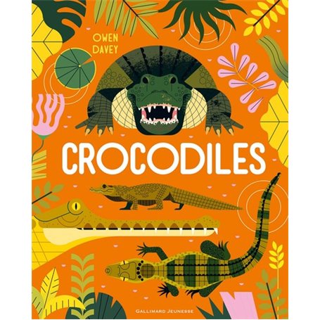 Crocodiles