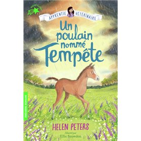 Un poulain nommé Tempête