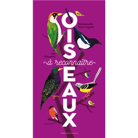 Oiseaux à reconnaître