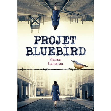 Projet Bluebird