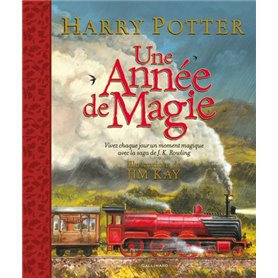 Harry Potter - Une année de magie