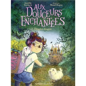 Aux douceurs enchantées