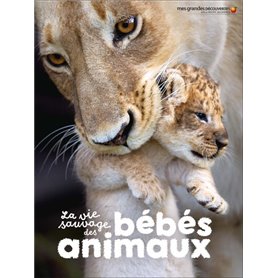 La vie sauvage des bébés animaux