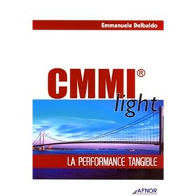 CMMI light