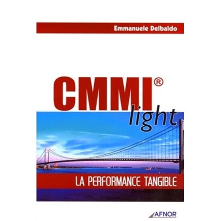 CMMI light