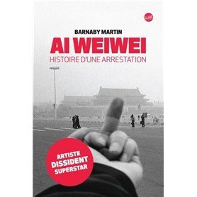 Ai Weiwei histoire d'une arrestation