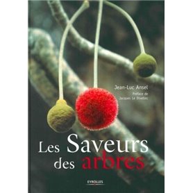 Les saveurs des arbres