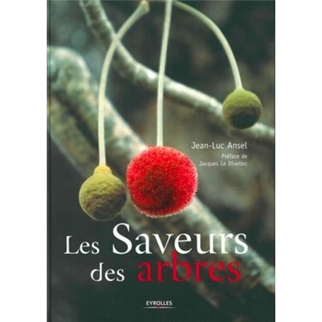 Les saveurs des arbres