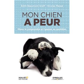 Mon chien a peur mieux le comprendre et l'apaiser au quotidien