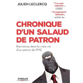 CHRONIQUE D UN SALAUD DE PATRON