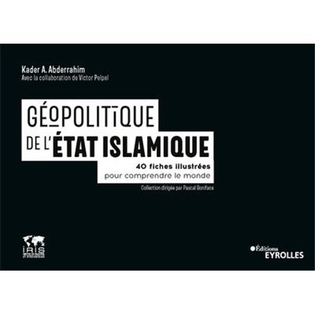 Géopolitique de l'état islamique