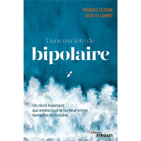 Dans ma tête de bipolaire