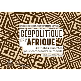 Géopolitique de l'Afrique