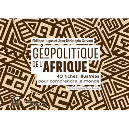 Géopolitique de l'Afrique