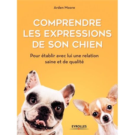 Comprendre les expressions de son chien