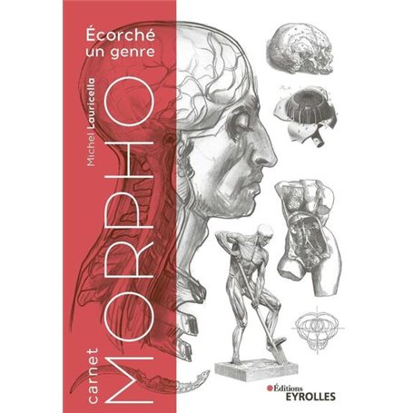 Carnet Morpho : Ecorché un genre