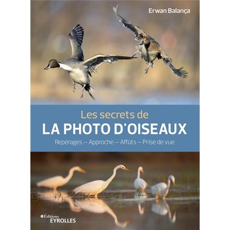 Les secrets de la photo d'oiseaux