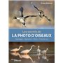 Les secrets de la photo d'oiseaux