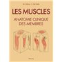 Les muscles : anatomie clinique des membres