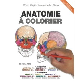 Anatomie à colorier, 4e éd.