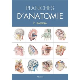 Planches d'anatomie humaine. 31 planches. Reliure a spirale, 3e éd.