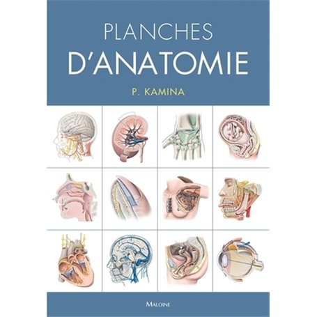 Planches d'anatomie humaine. 31 planches. Reliure a spirale, 3e éd.