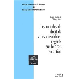 LES MONDES DU DROIT DE LA RESPONSABILITÉ : REGARDS SUR LE DROIT EN ACTION