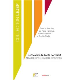 L'EFFICACITÉ DE L'ACTE NORMATIF