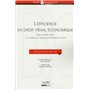 l'efficience en droit pénal économique