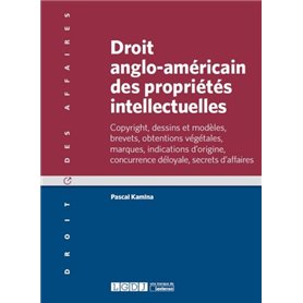 droit anglo-américain des propriétés intellectuelles