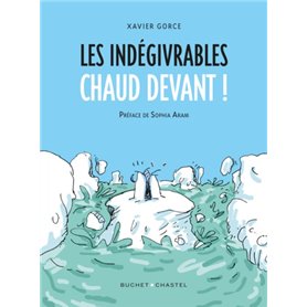 Les indégivrables