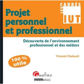 carrés iut projet personnel et professionnel