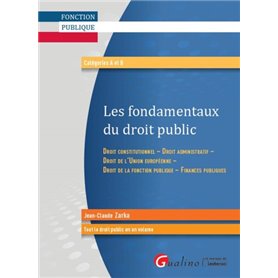 LES FONDAMENTAUX DU DROIT PUBLIC