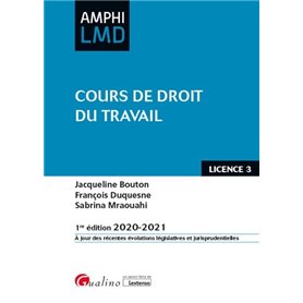 Cours de droit du travail