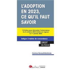 L'adoption en 2023, ce qu'il faut savoir