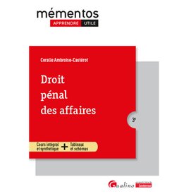 Droit pénal des affaires