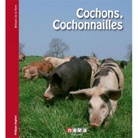 Cochon, cochonnailles