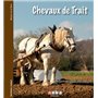 Chevaux de trait