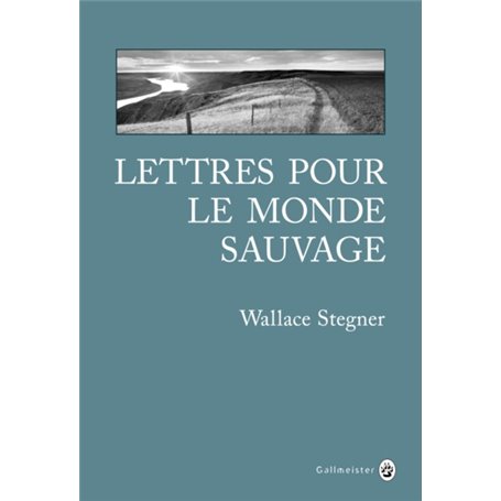 Lettres pour le monde sauvage