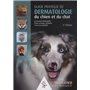 GUIDE PRATIQUE DE DERMATOLOGIE DU CHIEN ET DUCHAT 2 ED+DVD